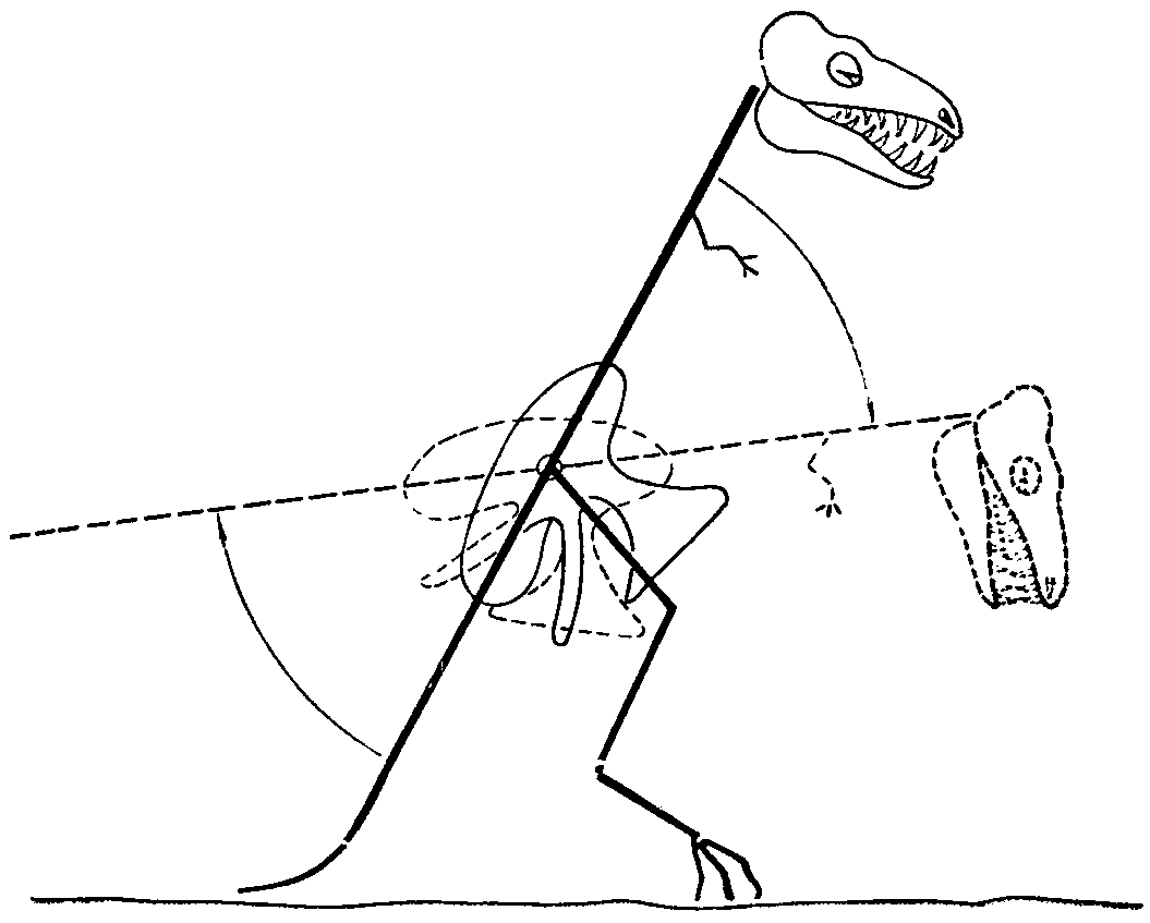 Схема способа   нападения   крупного карнозавра