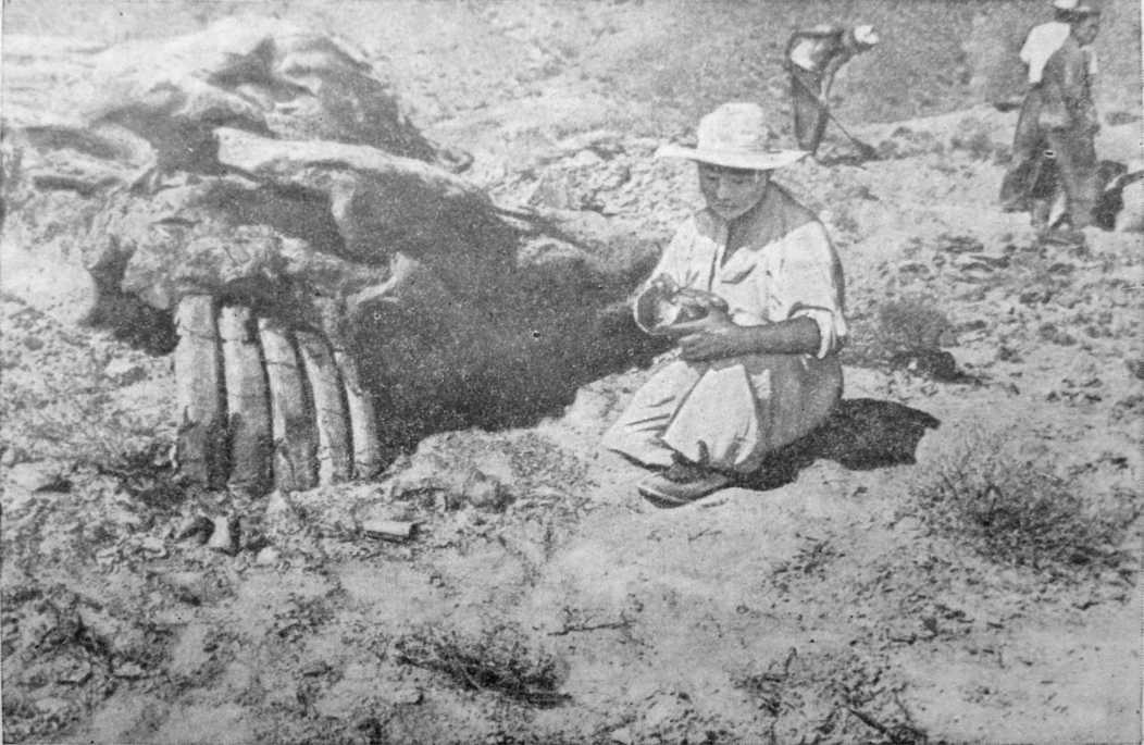 Участники экспедиции производят раскопки в районе Алтан-Ула.